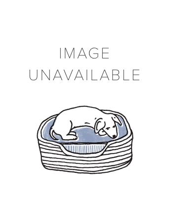 Serena & Lily Antica Handwrapped Rattan Dining Chair
